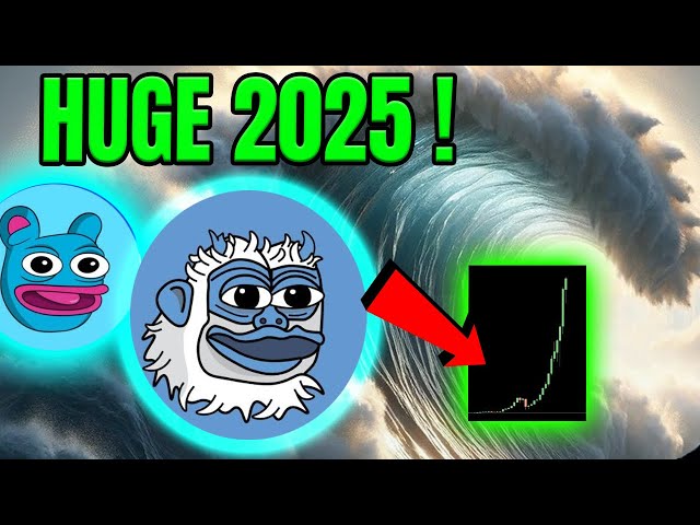 頂級 SUI MEME 硬幣 🌊 Lofi 為 2025 年的巨大機遇做好準備？ 💎🔍