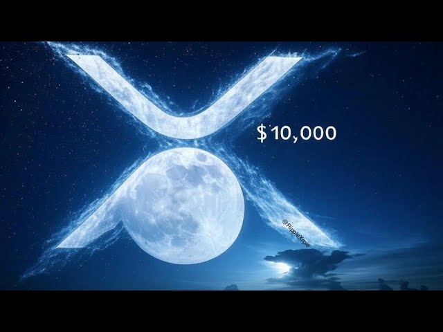 XRP RIPPLE SI VOUS AVEZ PLUS DE 100 XRP, VOUS DEVEZ REGARDER CETTE VIDÉO ! #xrp #ripple #xrpnews #bitcoin