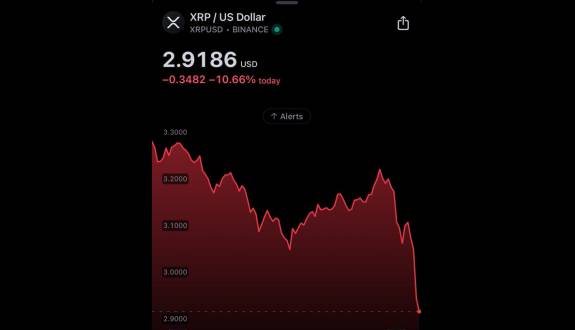 XRP whale