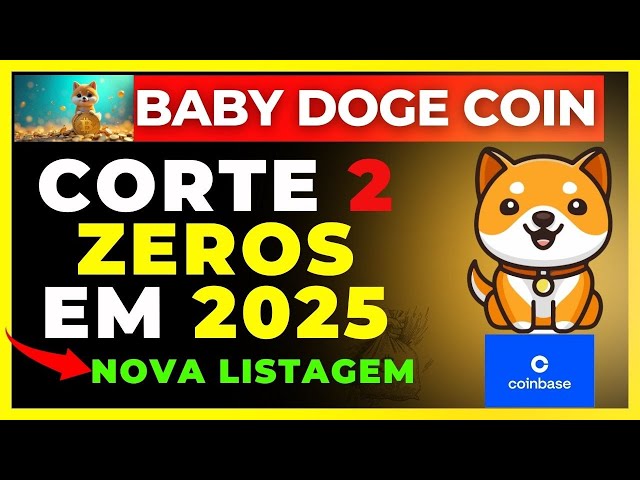 🚀 BABY DOGE COIN: MEMECOIN READY TO EXPLODE IN 2025 – ELON MUSK LISTING AND SUPPORT? 🐶🔥