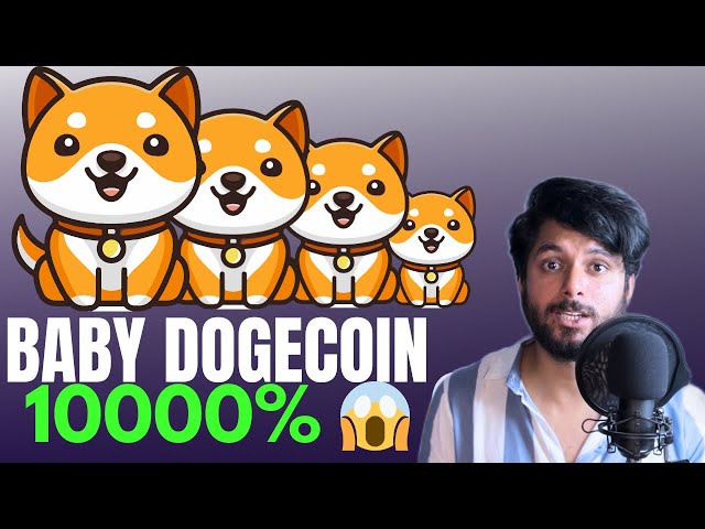 Baby Doge Coin 10000% oder Rally? | Baby Doge Coin Bull Run 2025 | Neuestes Update für den Kryptomarkt