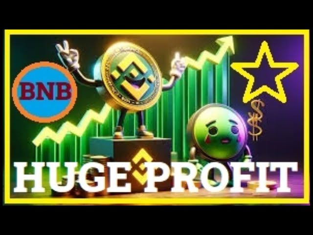 💸 BNB 閃電貸這個 10 倍利潤策略如何幫助您每天輕鬆賺取 2,000 美元！