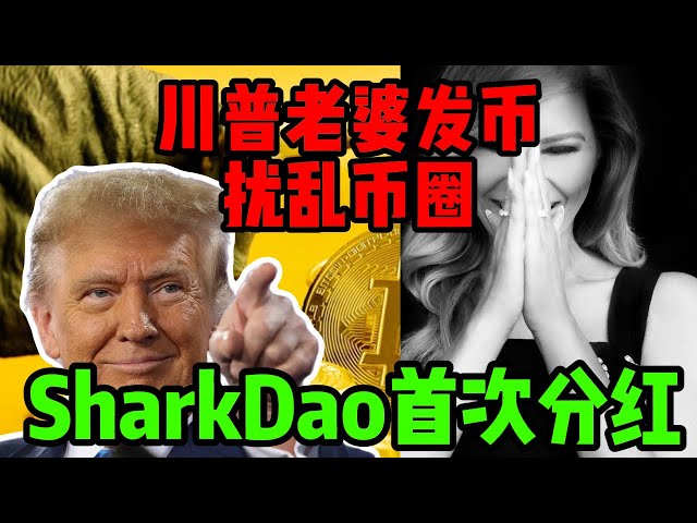 Trump’s wife also issued coins, the rhythm of the currency circle was disrupted, and SharkDao’s first dividend was completed