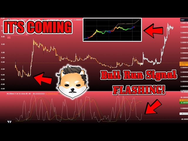 Die WAHRHEIT über Dogelon Mars BULL RUN PUMP!? Dogelon Mars BULL RUN Pumpe kommt!? ELON-Analyse heute