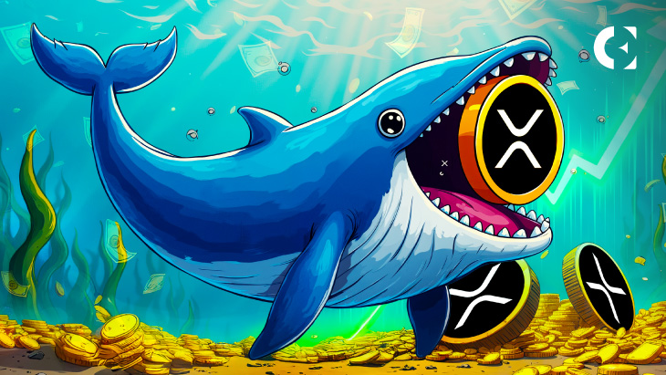 XRP Sees Significant Whale Activity, Price Jumps 5.62% to $3.29