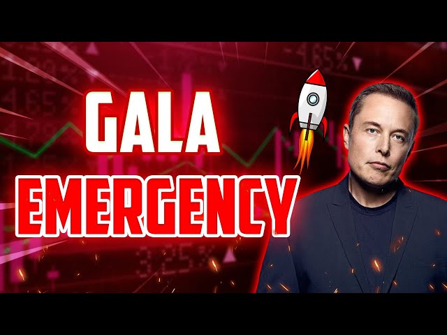 GALA EMERGENCY NEWS & UPDATES – GALA Wahnsinnige Preisvorhersagen für 2025