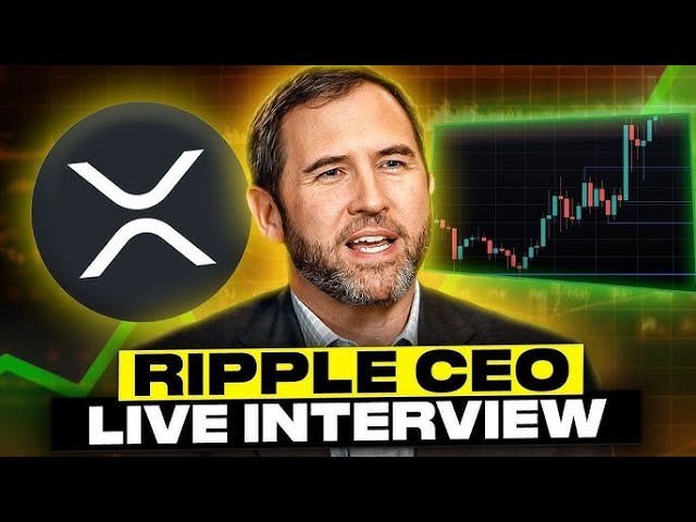 Ripple CEO, 폭탄 선언: SEC 결제 누출로 인해 XRP $9,996.34를 보낼 수 있습니다!