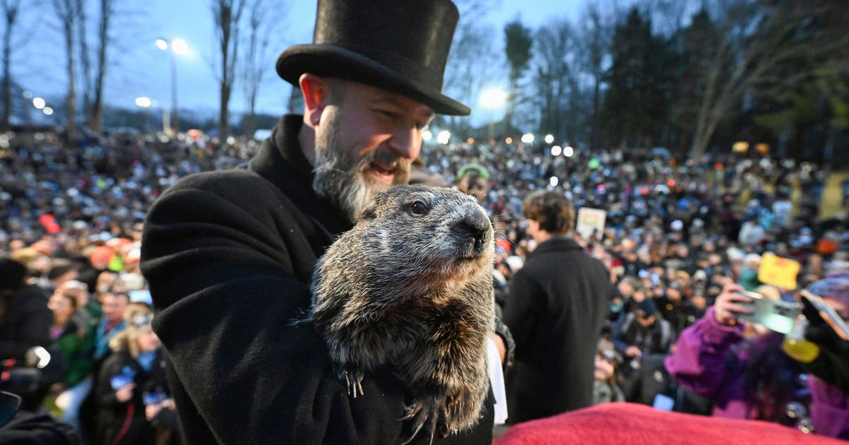 PETA Offers Punxsutawney Groundhog Club Gender-Reveal Cake to Replace Punxsutawney Phil