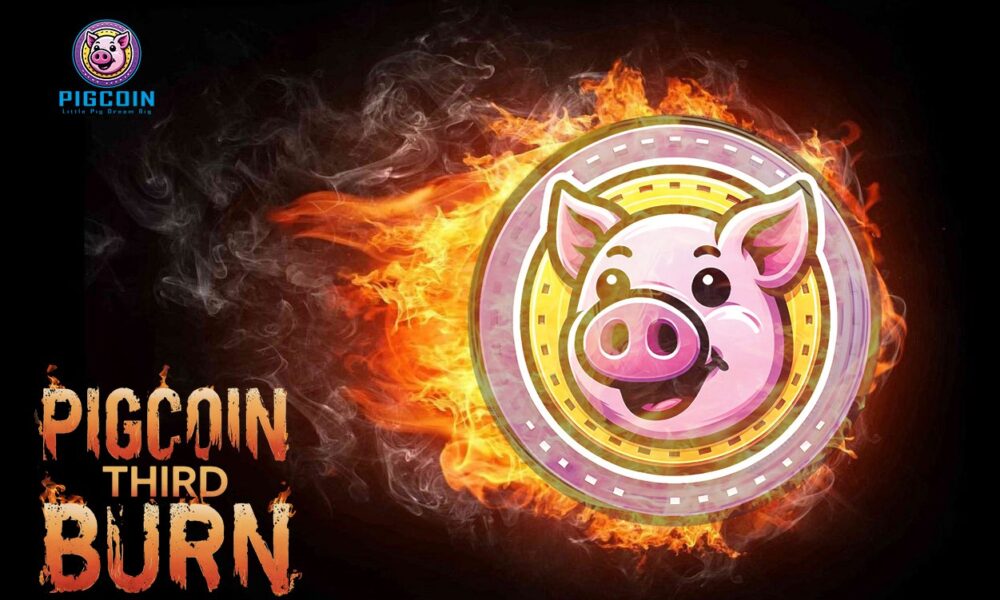 Pigcoin Completes Third Major Token Burn This Month, Reinforcing Commitment to Sustainable Growth and Community Empowerment