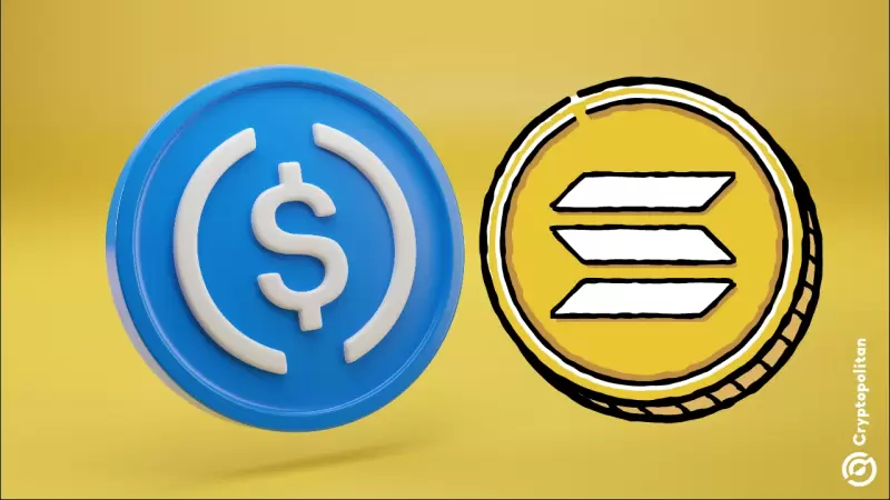 USDC Becomes the Fastest-Growing Asset on Solana (SOL) After a Series of New Mints USDC Becomes the Fastest-Growing Asset on Solana (SOL) After a Series of New Mints