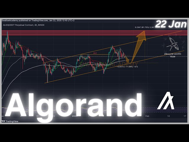 알고랜드(ALGO): 코인은 강세 채널에서 거래되고 있습니다 / 2025