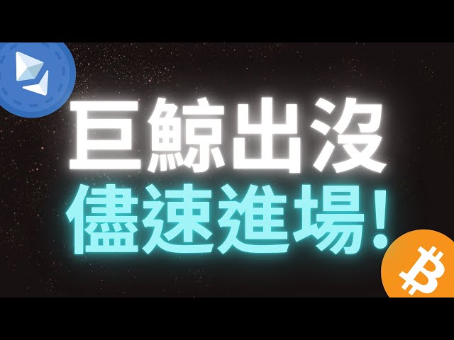 ビットコインクジラ登場、為替トレーダーが準備！早めに市場参入してデイトレードで12,000ドルを稼ごう｜日中・超短期トレード SMC/ICT基本概念分析 #仮想通貨 #ビットコイン