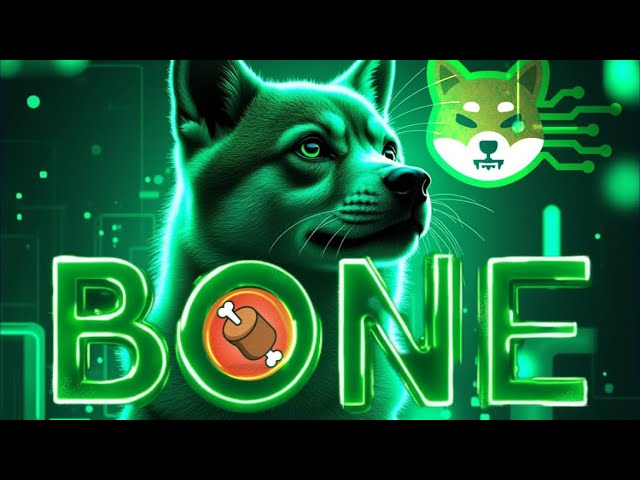 BONE 代幣火了 - 這就是為什麼 Shib Army 🚨 BONE SHIBASWAP 價格將達到 5 美元😱