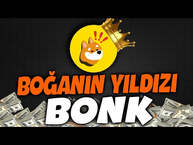 WHAT IS BONK COIN? CAN BONK BECOME THE STAR OF THE BULL? BONK CHART ANALYSIS!