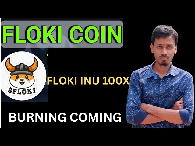 Floki Inu $1 美元 | Floki Inu Next 100x Memcoin | Floki Inu Next 100x Memcoin | Floki Inu Next 100x Memcoin价格预测|燃烧