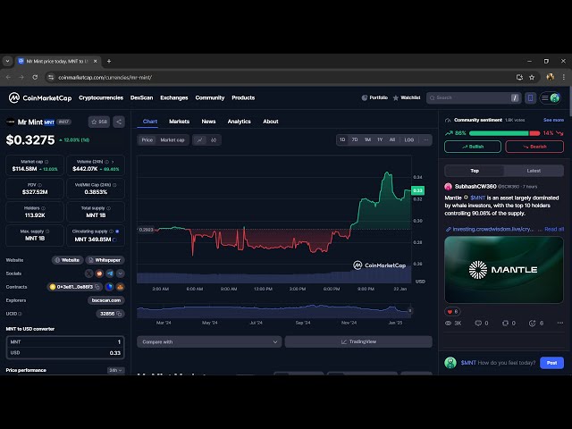 Mr Mint ($MNT) 代幣是合法的還是騙局？