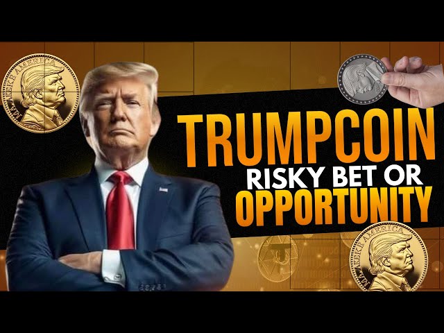 TrumpCoin 解释：Meme 币的炒作、风险和未来