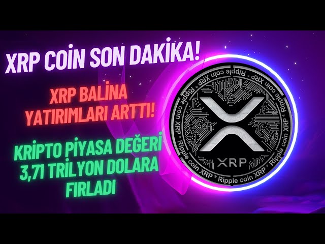 XRP 重大新聞 | XRP 幣分析 |阿德面板硬幣