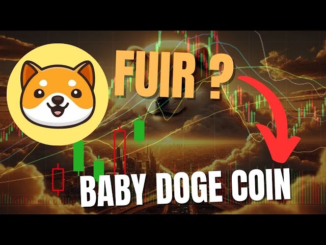 BABY DOGE COIN：一个糟糕的代币……要避免吗？