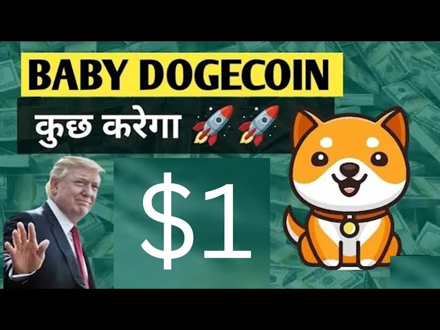 Baby Dogecoin News Today | Burning | BabyDoge Coin Price $1 | Binance Listing