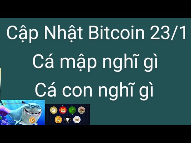 오늘 1월 23일 비트코인 ​​eth 총독 분석, 암호화폐 가격 소폭 하락