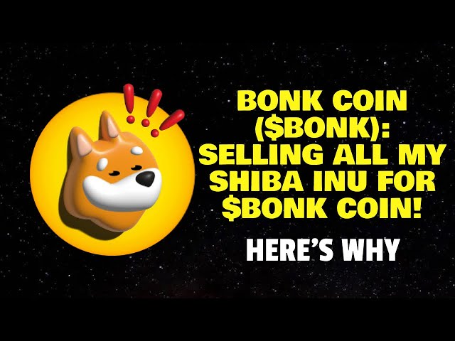 BONK COIN ($BONK): 私の柴犬をすべて $BONK コインで販売します! (理由はここにあります)