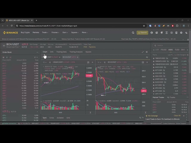 criptocurrency BCH chart|Crypto coin | Crypto Market | Binance Exchange |