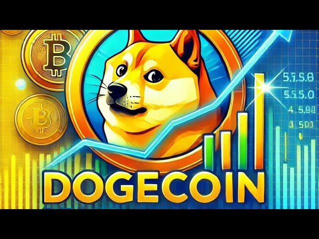 Doge 코인 분석.