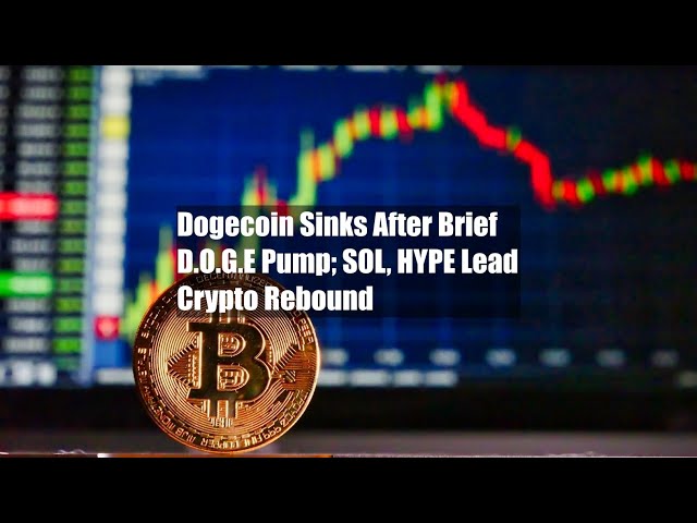 Dogecoin coule après une brève pompe DOGE ; SOL et HYPE mènent le rebond de la crypto