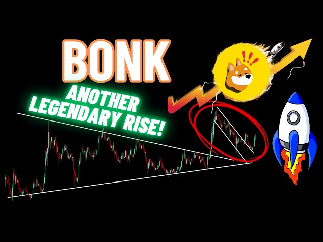 Another Legendary Rise Of BONK Crypto Coin | The Bull Run Winner