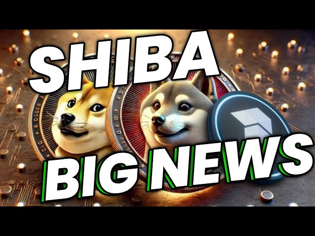 Shiba Inu Coin News heute💸SHIBA INU PREISVORHERSAGE🔥SHIB COIN NEWS💸SHIBA INU UPDATE HEUTE