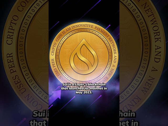 1分でわかるSui Coin #investing #crypto #bitcoin #sui