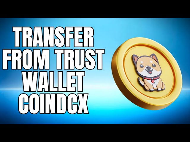 Trust Wallet에서 CoinDCX 2025로 Baby Doge 코인을 전송하는 방법 NEW