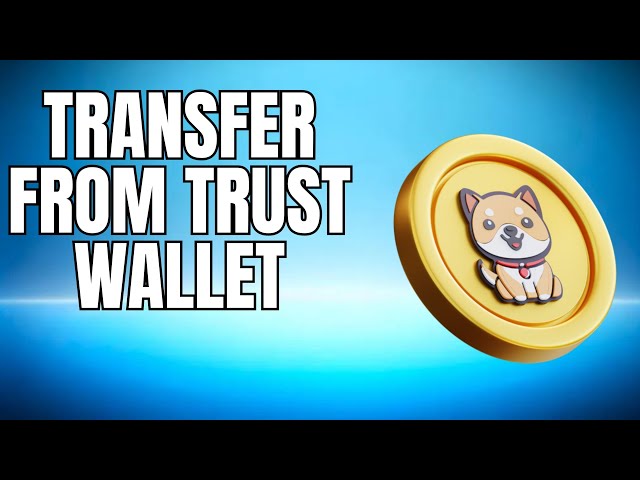 Trust Wallet NEW 2025에서 Baby Doge 코인을 이체하는 방법