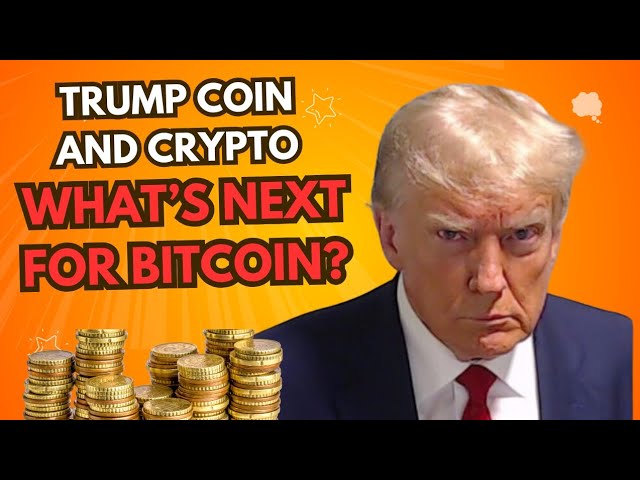 Trump Coin und Krypto: Wie geht es mit Bitcoin-Prognosen und dem Aktienmarkt unter Biden weiter?