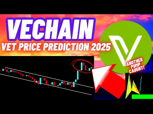 Vechain VET 가격 암호화폐 가격 예측 2025