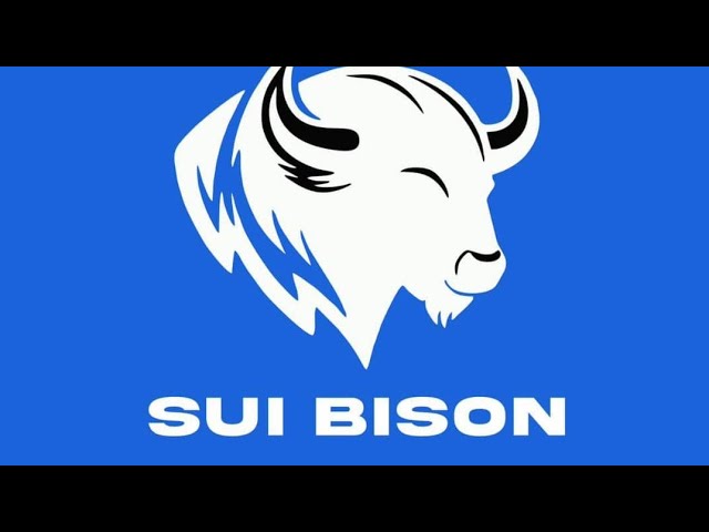 Die Auszahlungen bei SUI BISON sind in Sekundenschnelle zurückgegangen. Verdienen Sie ein tägliches Einkommen, ohne +2348033278799 anzurufen