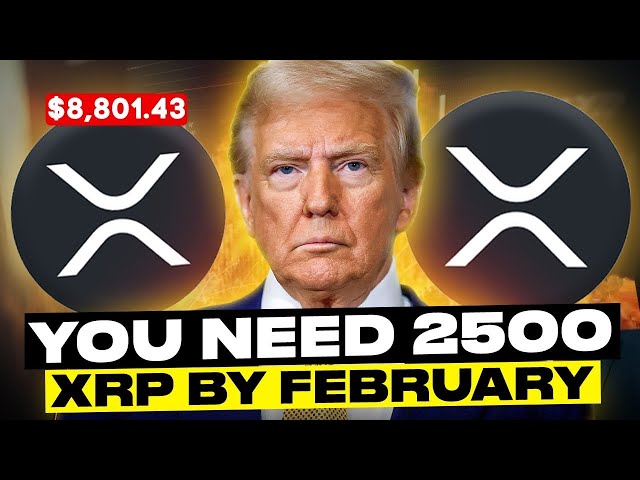 YOU NEED 2500 XRP BY FEBRUARY! ($8,801.41 PRICE SET)