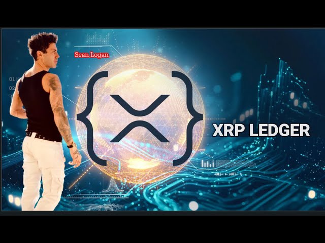 XRP 波纹 XRPL 区块链技术