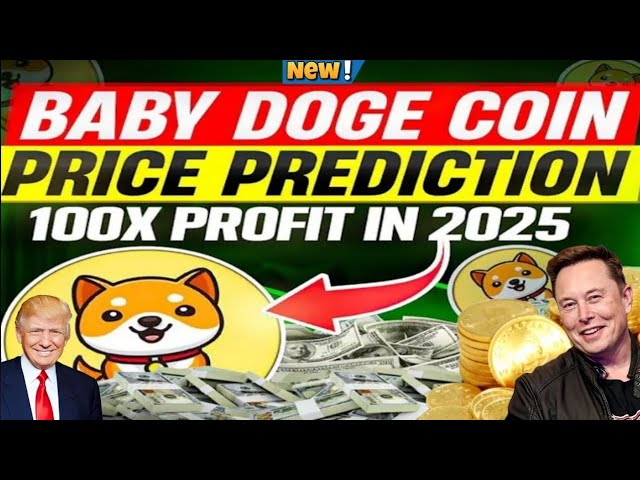 Baby Doge 硬币价格预测 2025 |立即购买的最佳 Meme 硬币！ |宝贝总督