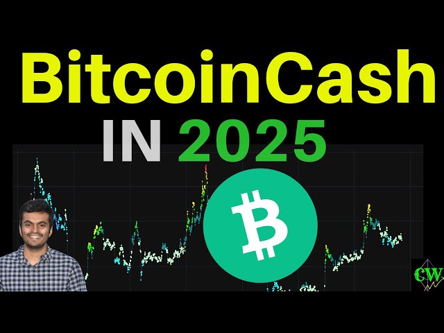 Bitcoin Cash ($ BCH) | Vorhersagen für 2025 🚀