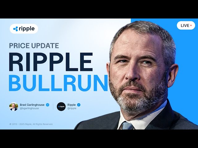 Brad Garlinghouse: RIPPLE BULL RUN BESTÄTIGT! XRP-PREISVORHERSAGE