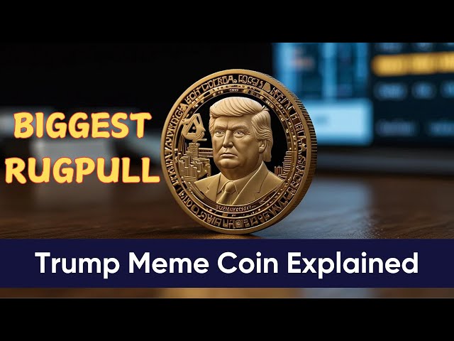 두 형제는 $ Trump Meme Coin (가장 큰 깔개)에 대해 이야기합니다.