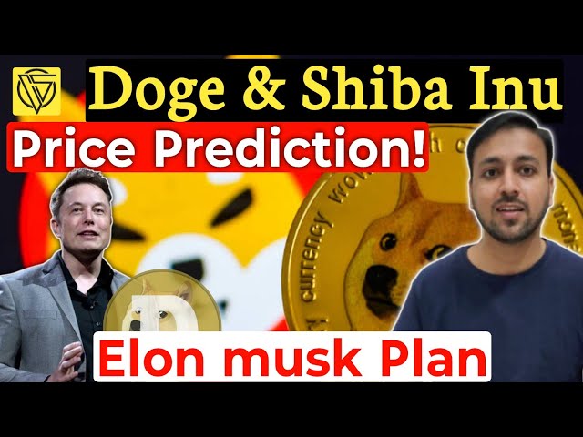 Doge Coin & Shiba Inu Münzpreisvorhersage || Doge und Shiba Inu schaffen Geschichte im Jahr 2025 Bullrun?