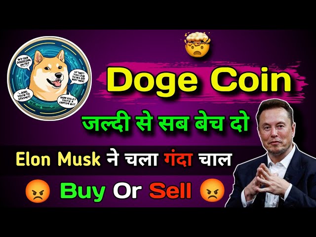 Doge 코인 오늘 업데이트 | Doge Coin 오늘 힌디어로 업데이트 | 도지 코인