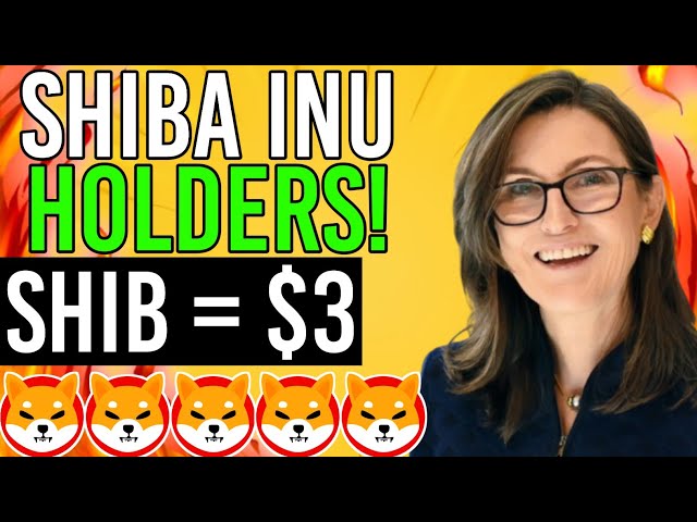 Elon Musk와 Cathie Wood는 Shiba Inu Coin이 어떻게 $ 3를 기록 할 것인지를 밝힙니다 !!