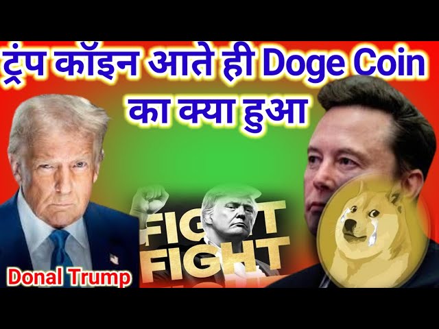 트럼프 코인 등장 후 Doge 코인에 무슨 일이 일어났나 #dogecoin #trumpcoin #cryptonews