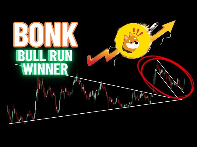 Ein weiterer legendärer Aufstieg von Bonk Crypto Coin | Der Bull Run -Gewinner