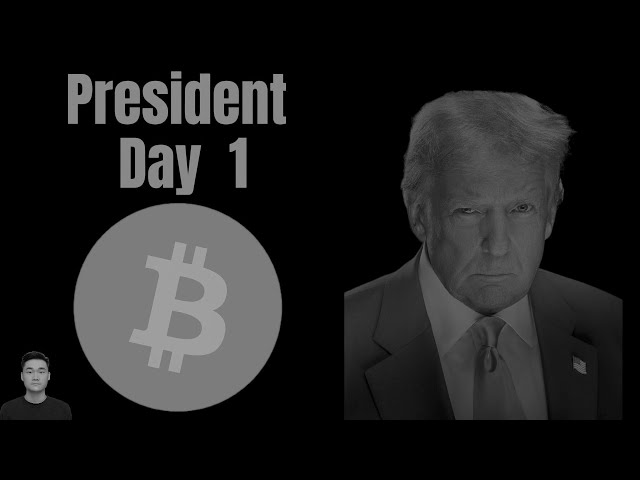 Präsident Tag 1: Meme Trump Coin, con Investition