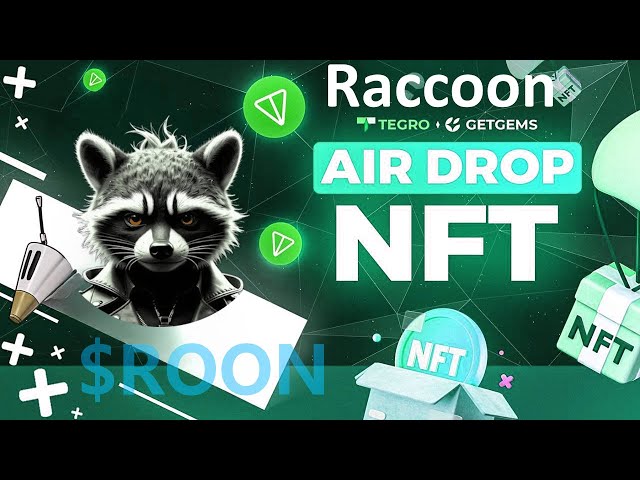 Raccoon BOT Telegram 新代币空投 $TON 区块链